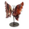 Papillon sculpté en agate Crazy Lace photographié de trois quarts