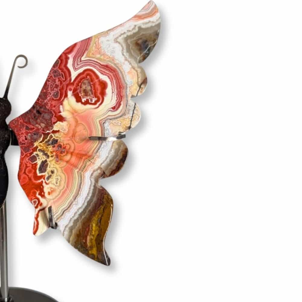 Détail de l'aile droite du papillon en agate Crazy Lace et de ses motifs caractéristiques