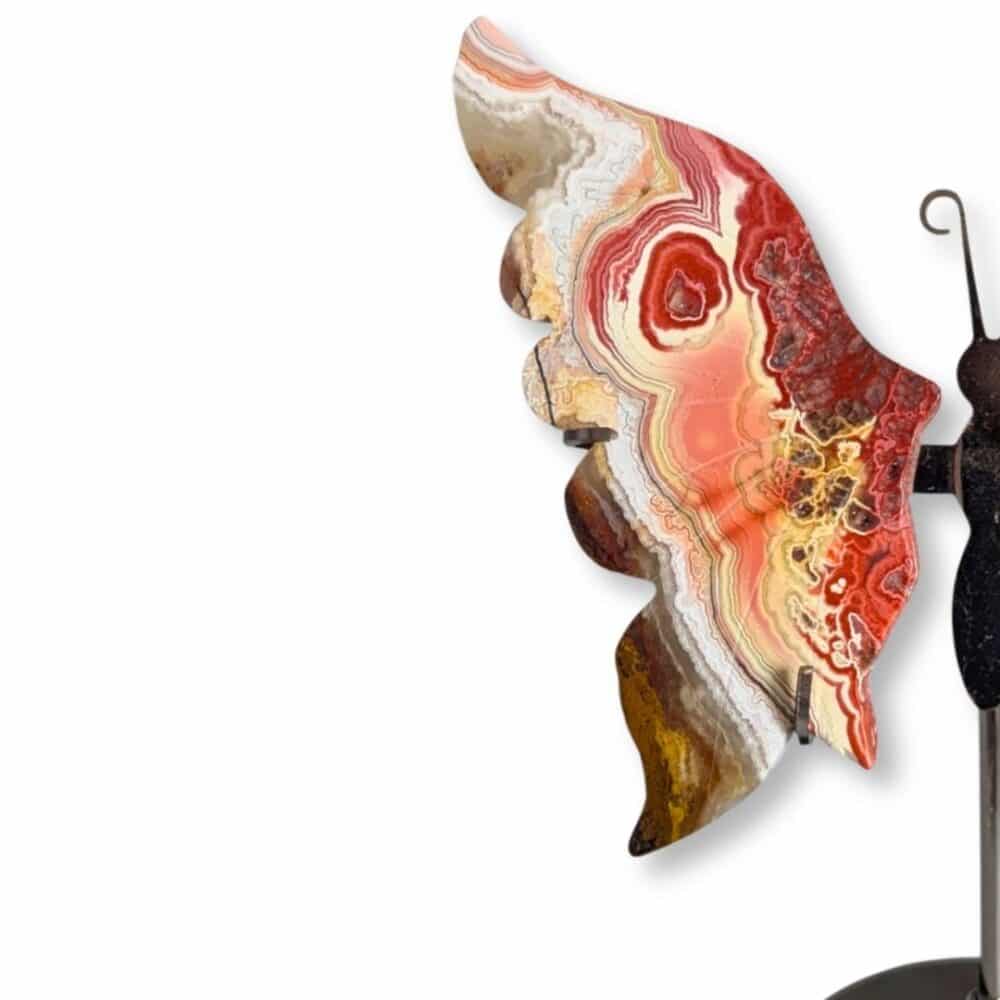 Gros plan sur les dessins de l'aile gauche du papillon en agate Crazy Lace