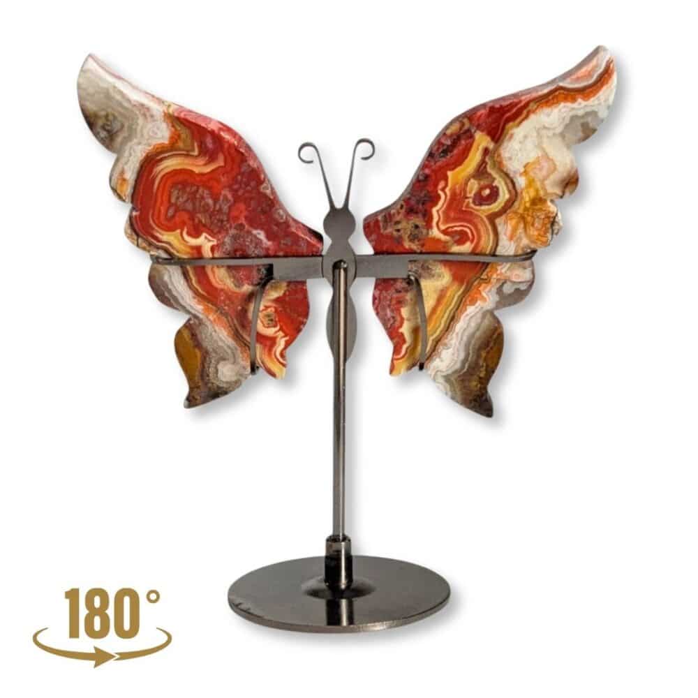 Vue arrière du papillon décoratif en agate Crazy Lace, modèle 02