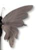 Gros plan sur l'aile gauche du papillon en agate grise et ses nuances minérales