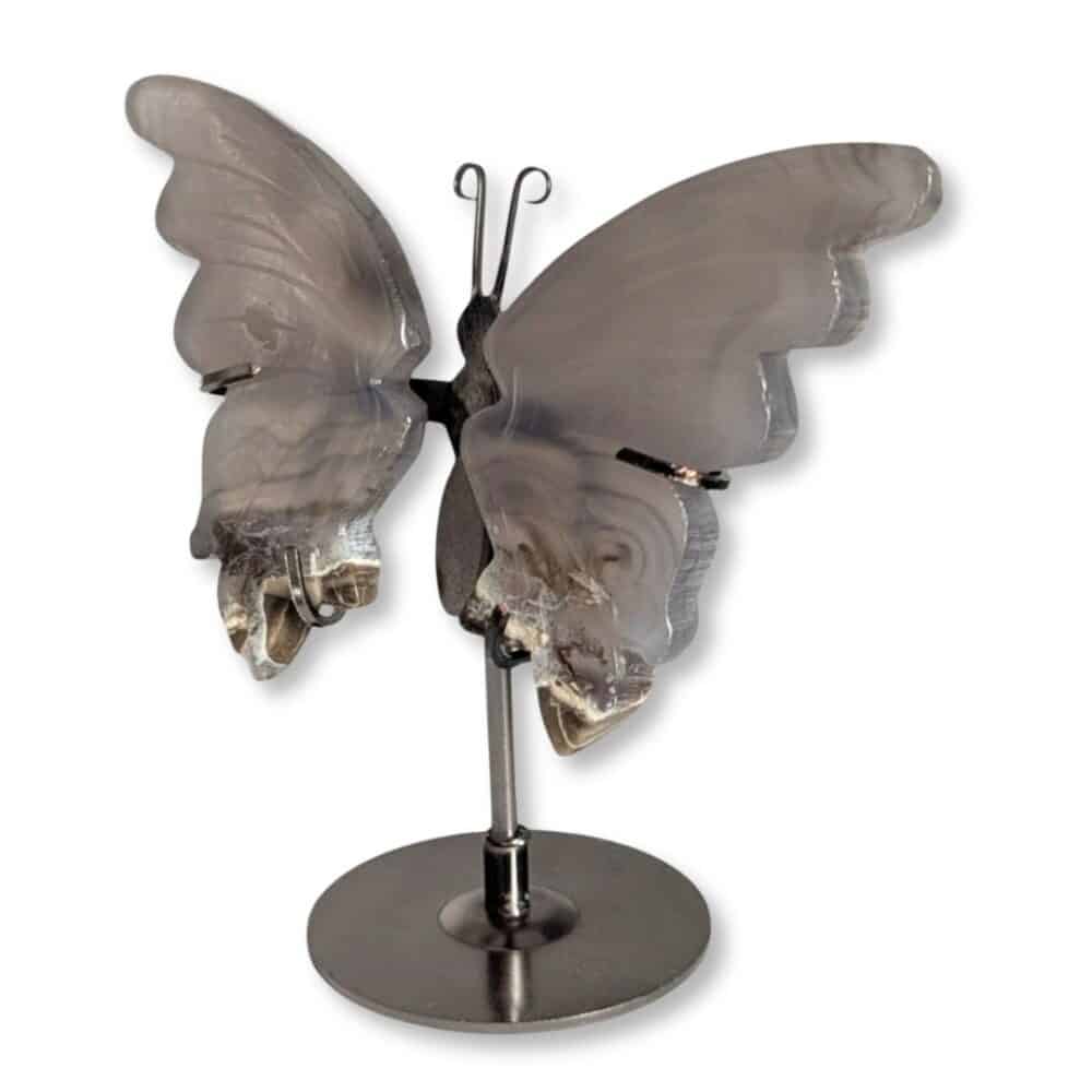 Vue de trois quarts du papillon en agate grise et de ses ailes sculptées