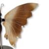 Gros plan sur les nuances de l'aile droite du papillon en agate marron