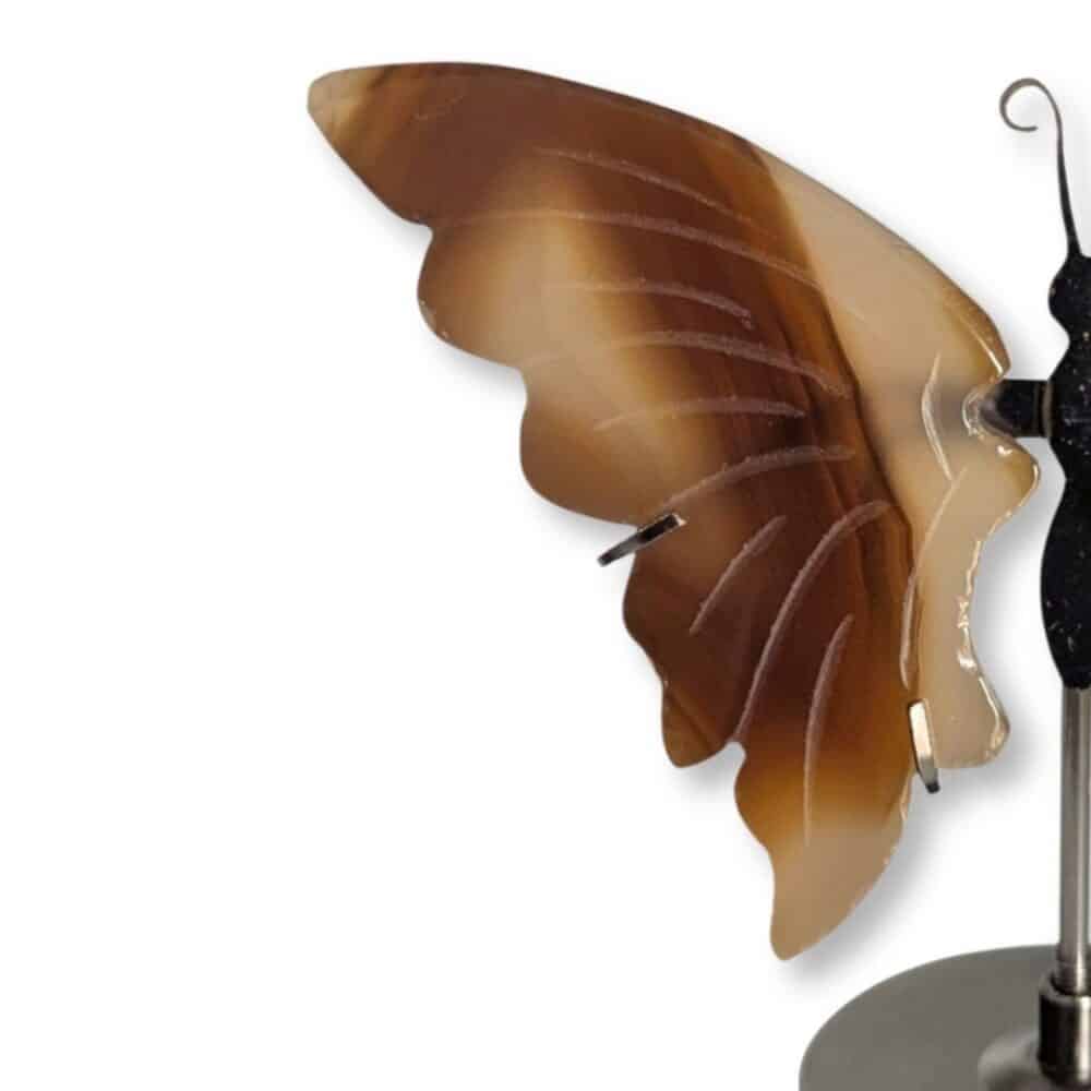 Détail des motifs naturels de l'aile gauche du papillon en agate brune