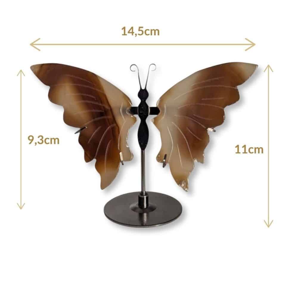 Dimensions du papillon sculpté en agate dans les tons bruns, modèle 01