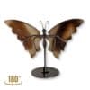 Vue de dos du papillon en agate aux tonalités marron, pièce unique 01
