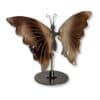 Vue de biais du papillon en agate marron montrant le relief de ses ailes