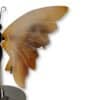 Gros plan sur les nuances de l'aile droite du papillon en agate marron