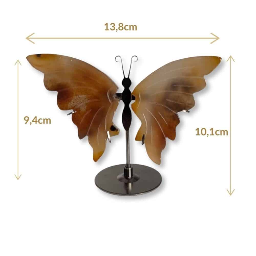 Dimensions du papillon sculpté en agate dans les tons bruns, modèle 02