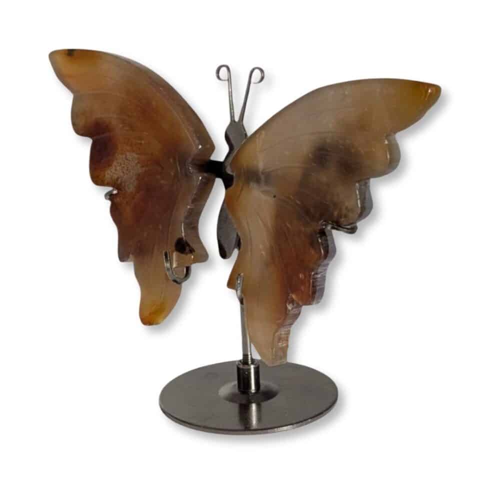 Vue de biais du papillon en agate marron montrant le relief de ses ailes