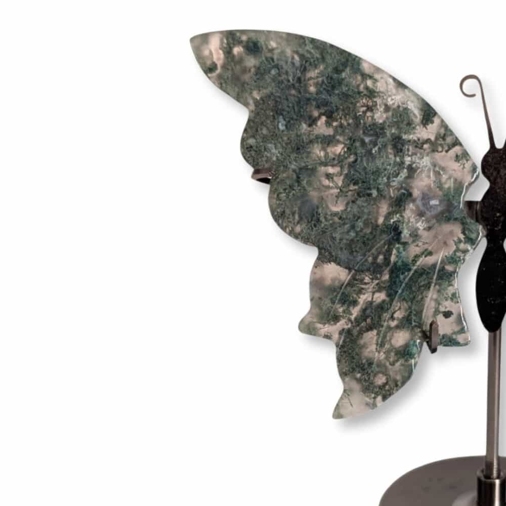 Papillon en agate mousse vu de biais, montrant le relief de ses ailes