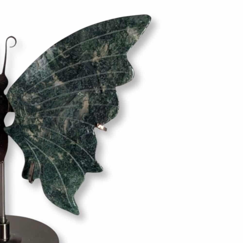 Gros plan sur l'aile droite du papillon en agate mousse et ses motifs minéraux