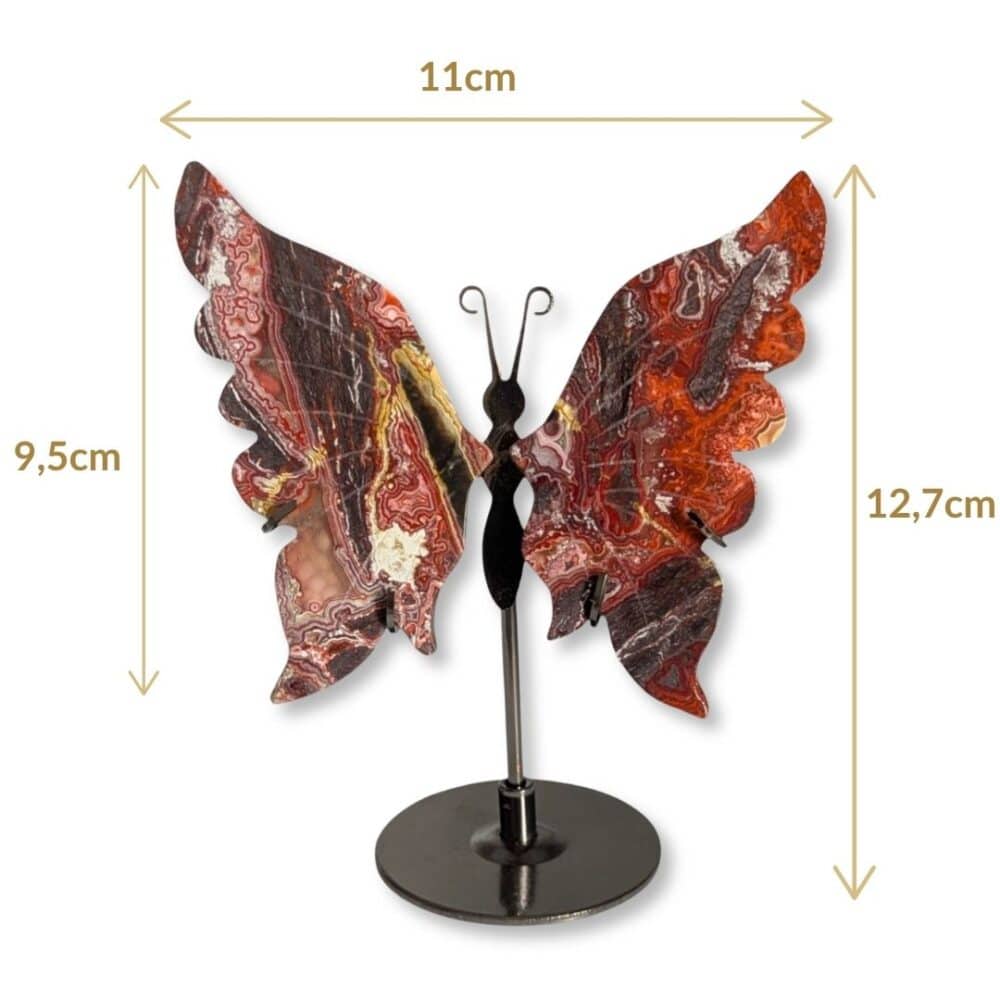 Dimensions du papillon en agate Crazy Lace, pièce unique 01