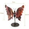 Dimensions du papillon en agate Crazy Lace, pièce unique 01