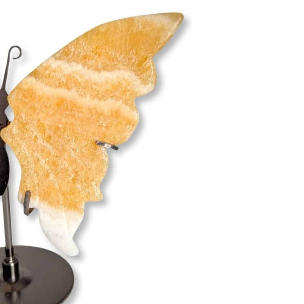 Gros plan sur l'aile droite du papillon en calcite jaune naturelle