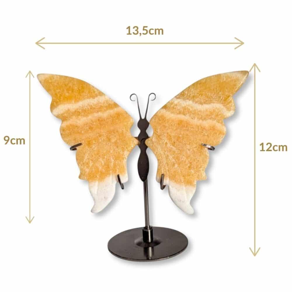 Dimensions du papillon décoratif en calcite jaune, modèle 01