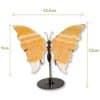 Dimensions du papillon décoratif en calcite jaune, modèle 01