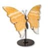 Vue de trois quarts du papillon en calcite jaune révélant le volume de ses ailes