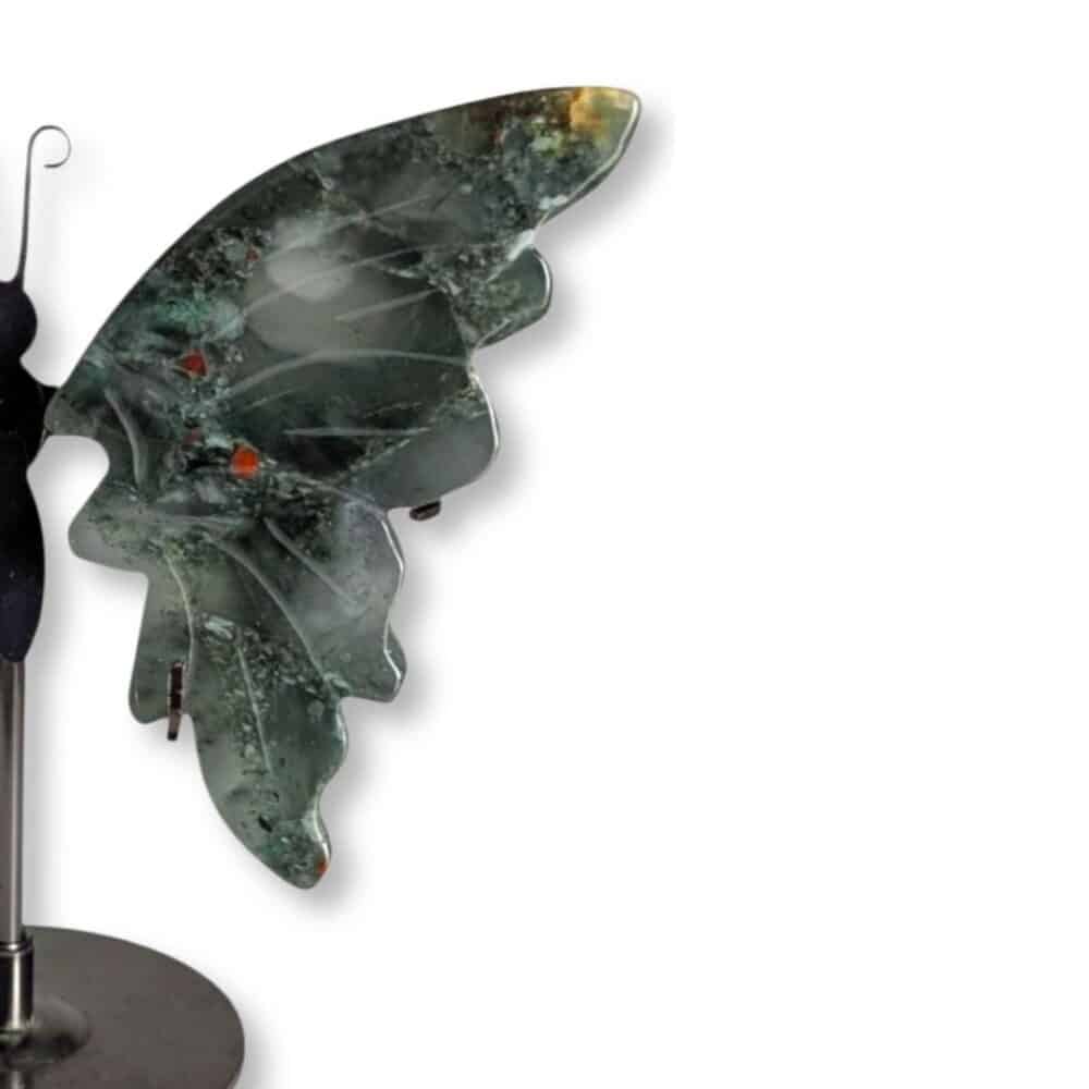 Gros plan sur l'aile droite du papillon en jaspe héliotrope et ses dessins naturels