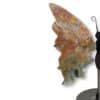 Dimensions du papillon en jaspe océan naturel, pièce unique