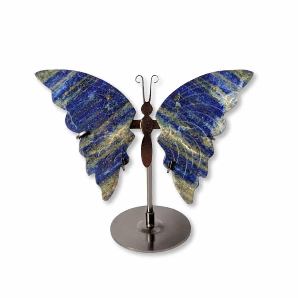 papillon lapis-lazuli