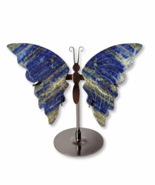 papillon lapis-lazuli