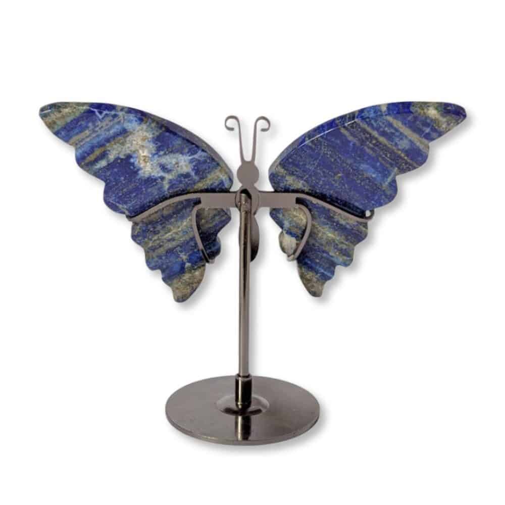 papillon lapis-lazuli