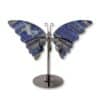 papillon lapis-lazuli