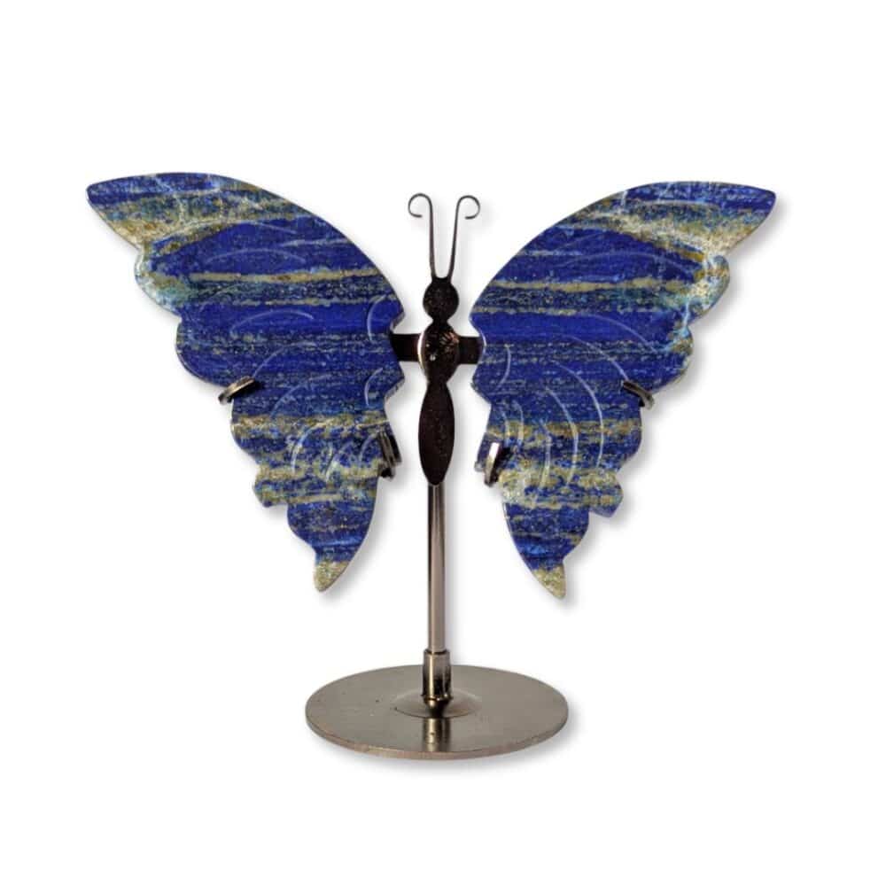 papillon lapis-lazuli