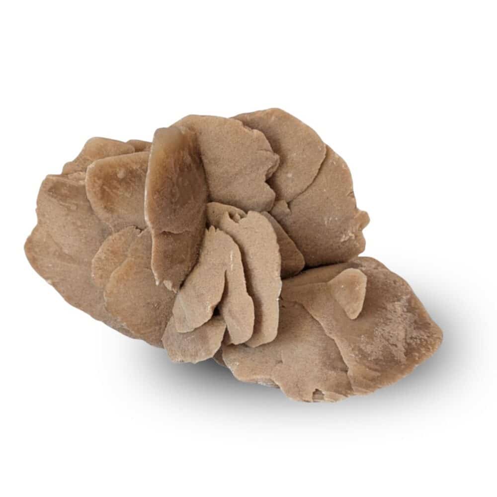 rose des sables 428g