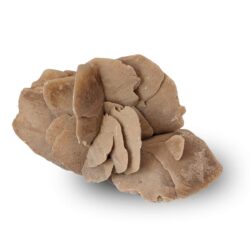 rose des sables 428g