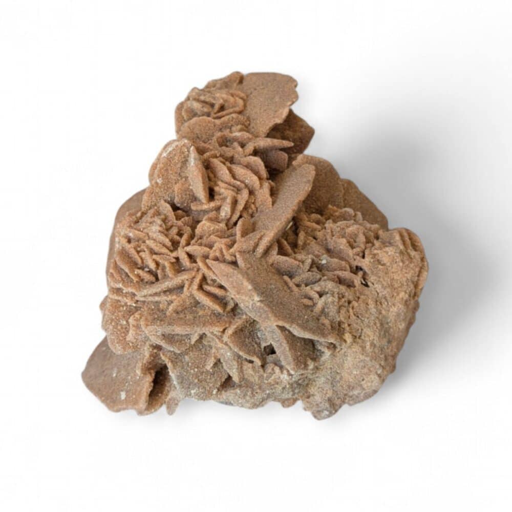 rose des sables 442g