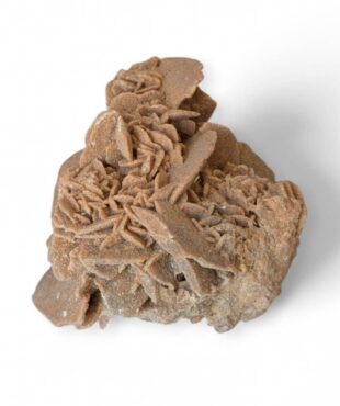 rose des sables 442g