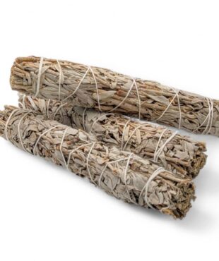 grand bâton de sauge