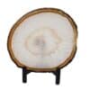 tranche d'agate naturelle 15x13cm