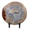 tranche d'agate naturelle 20x19cm n°2