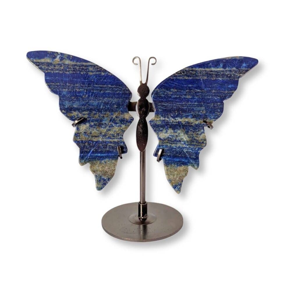 papillon lapis-lazuli