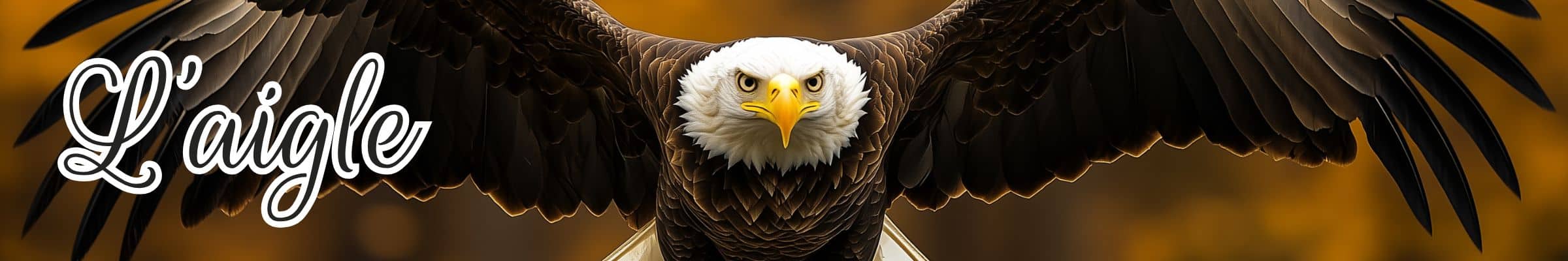 aigle animal totem