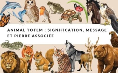 Animal totem : signification, message et liste complète des animaux guides