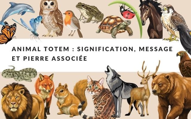 Animal totem : signification, message et liste complète des animaux guides