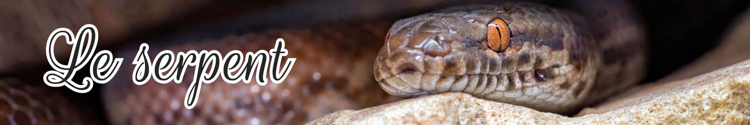 serpent animal totem