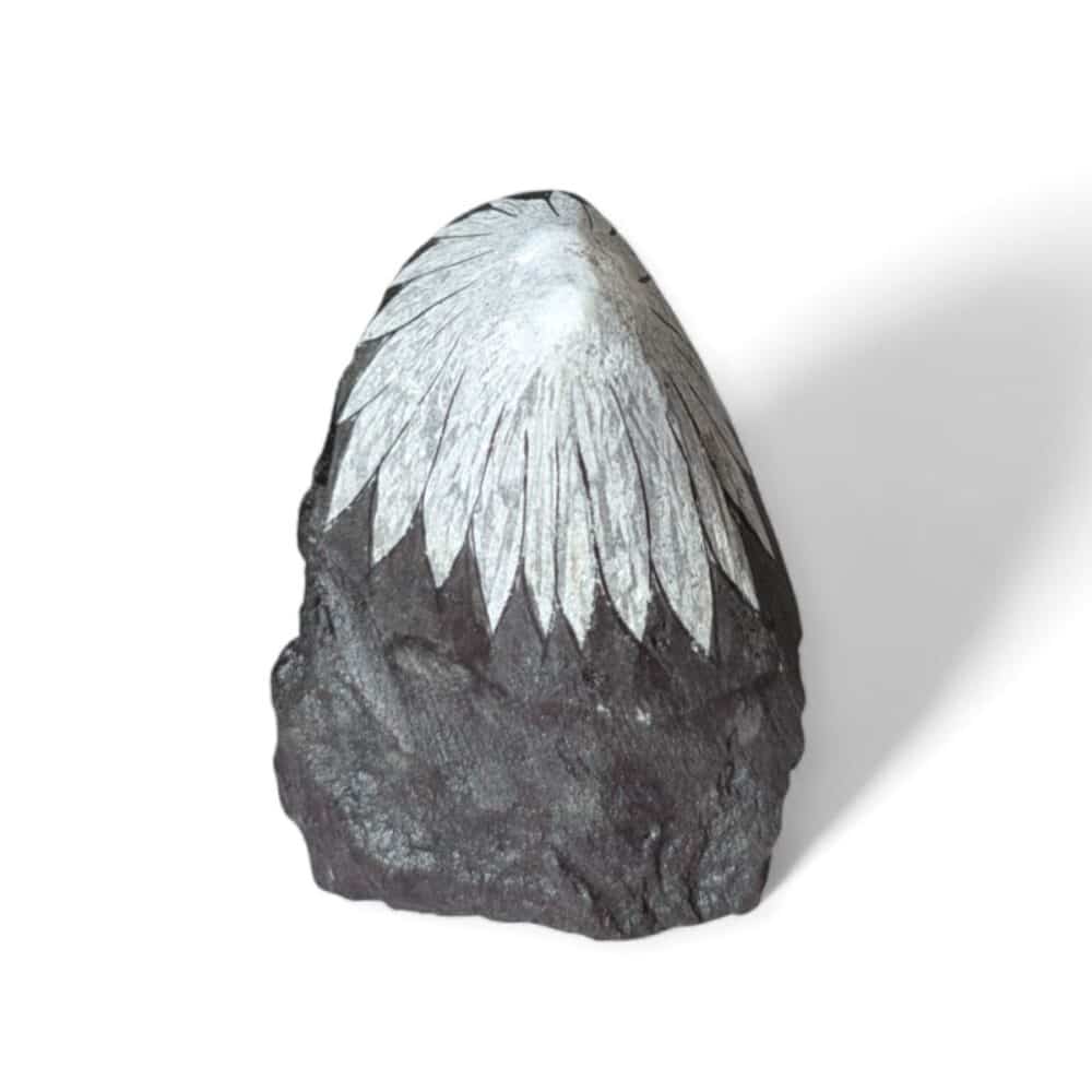 pierre chrysanthème 213g