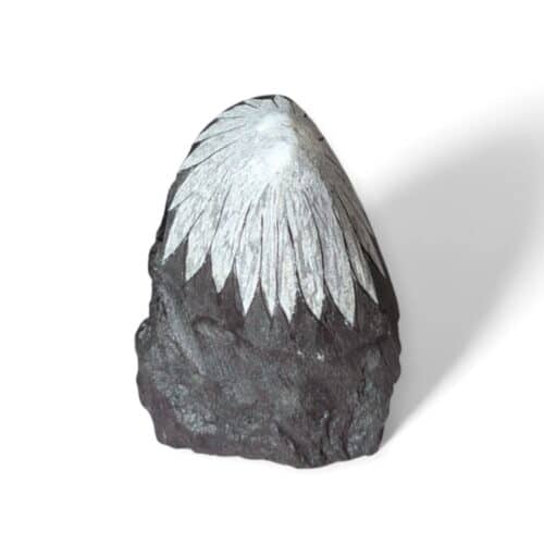 pierre chrysanthème 213g