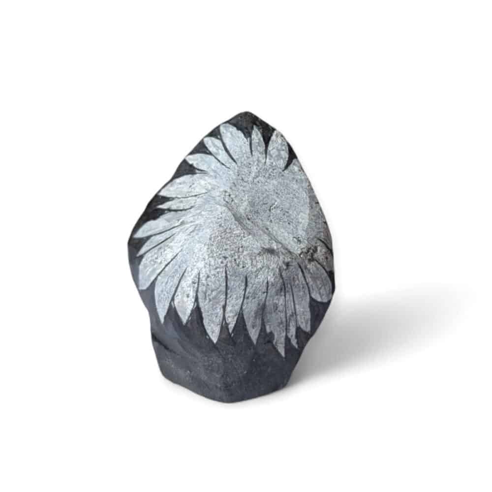 pierre fleur de chrysanthème 218g