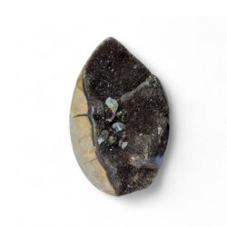 oeuf septaria sauvage 421g