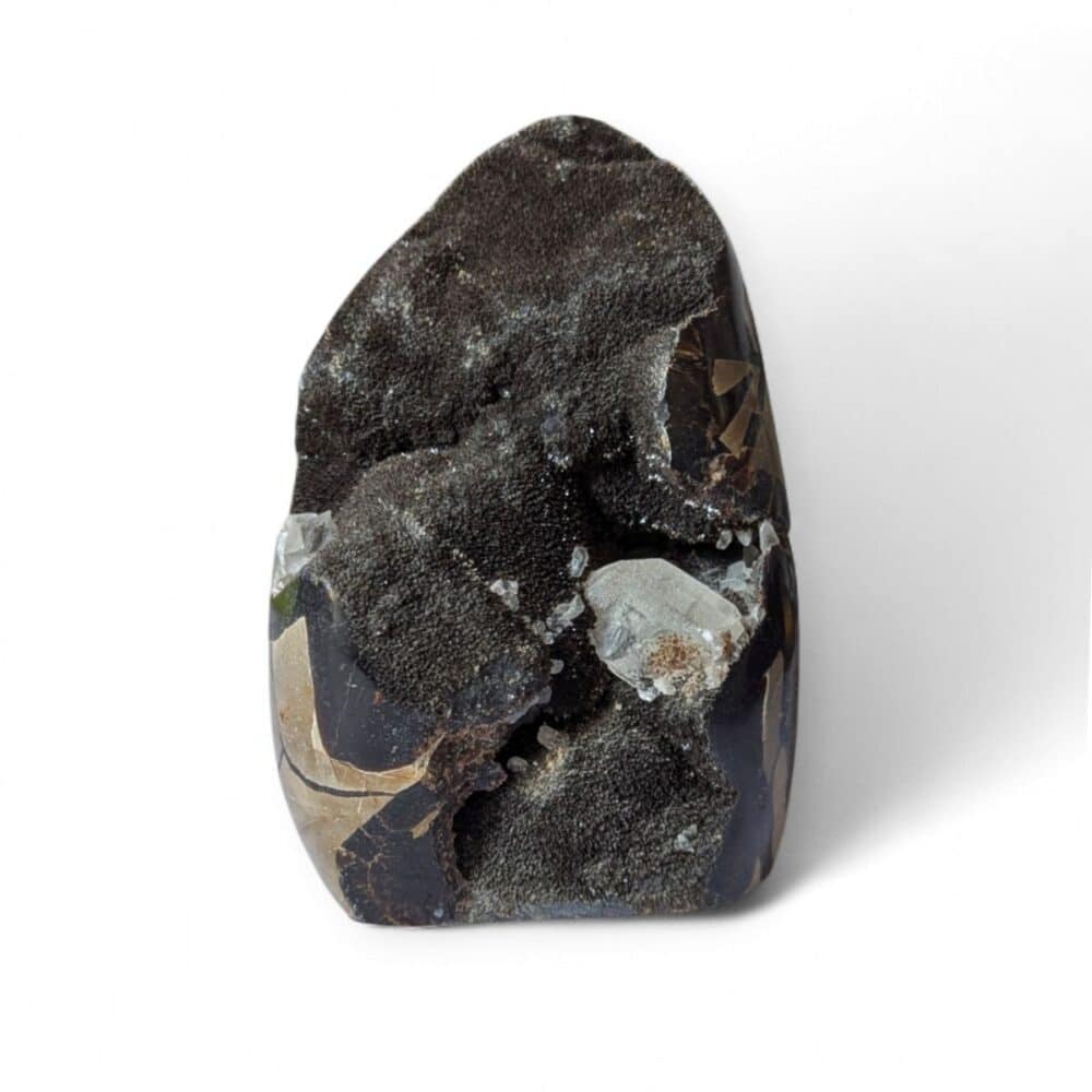 oeuf septaria sauvage 746g