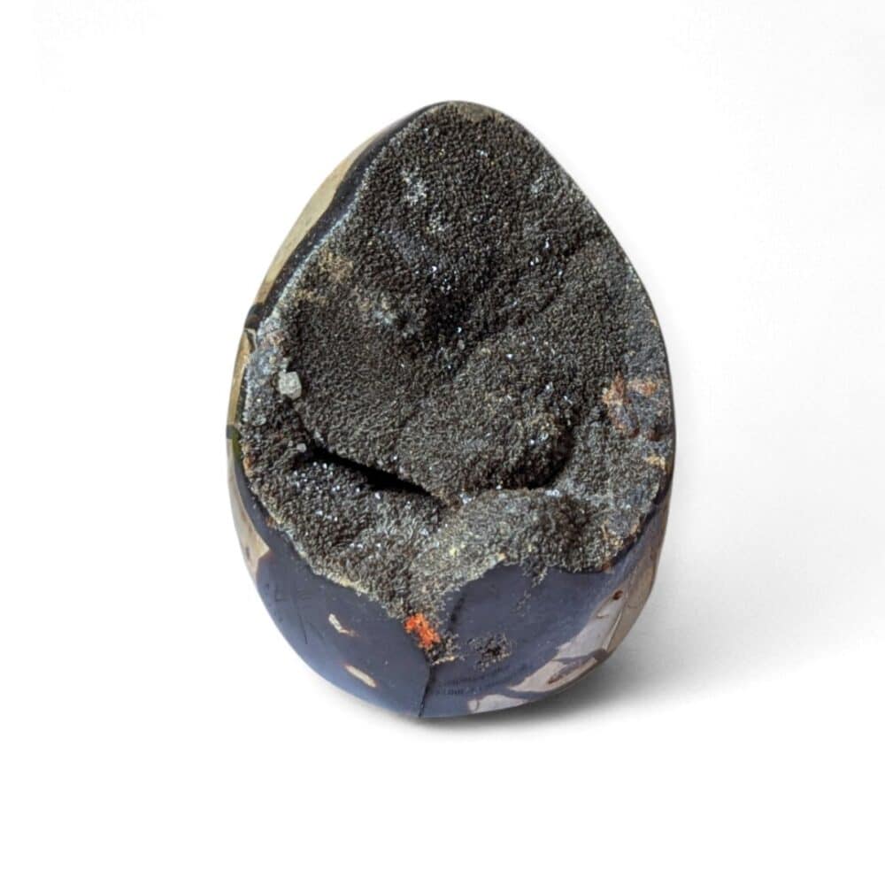 oeuf septaria sauvage 820g