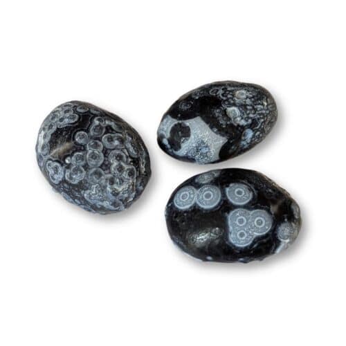 agate de gobi