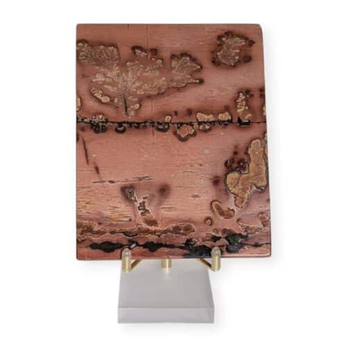 jaspe multicolore tranche polie