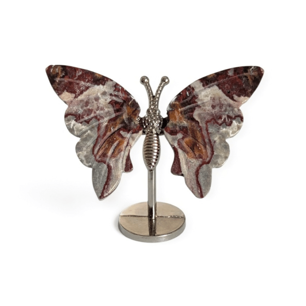 papillon agate crazy lace n°1